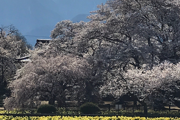 地域密着